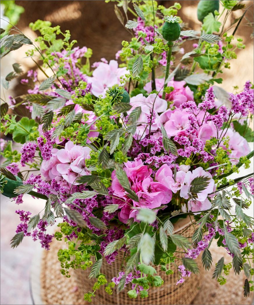 2023_Geraniums_3000_Small_Balcony_Getaway_07